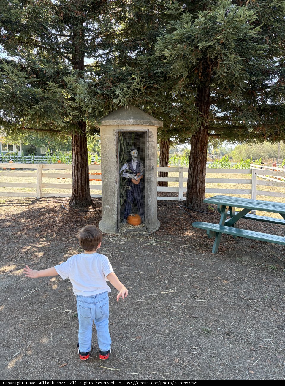 Curiosity in the Park