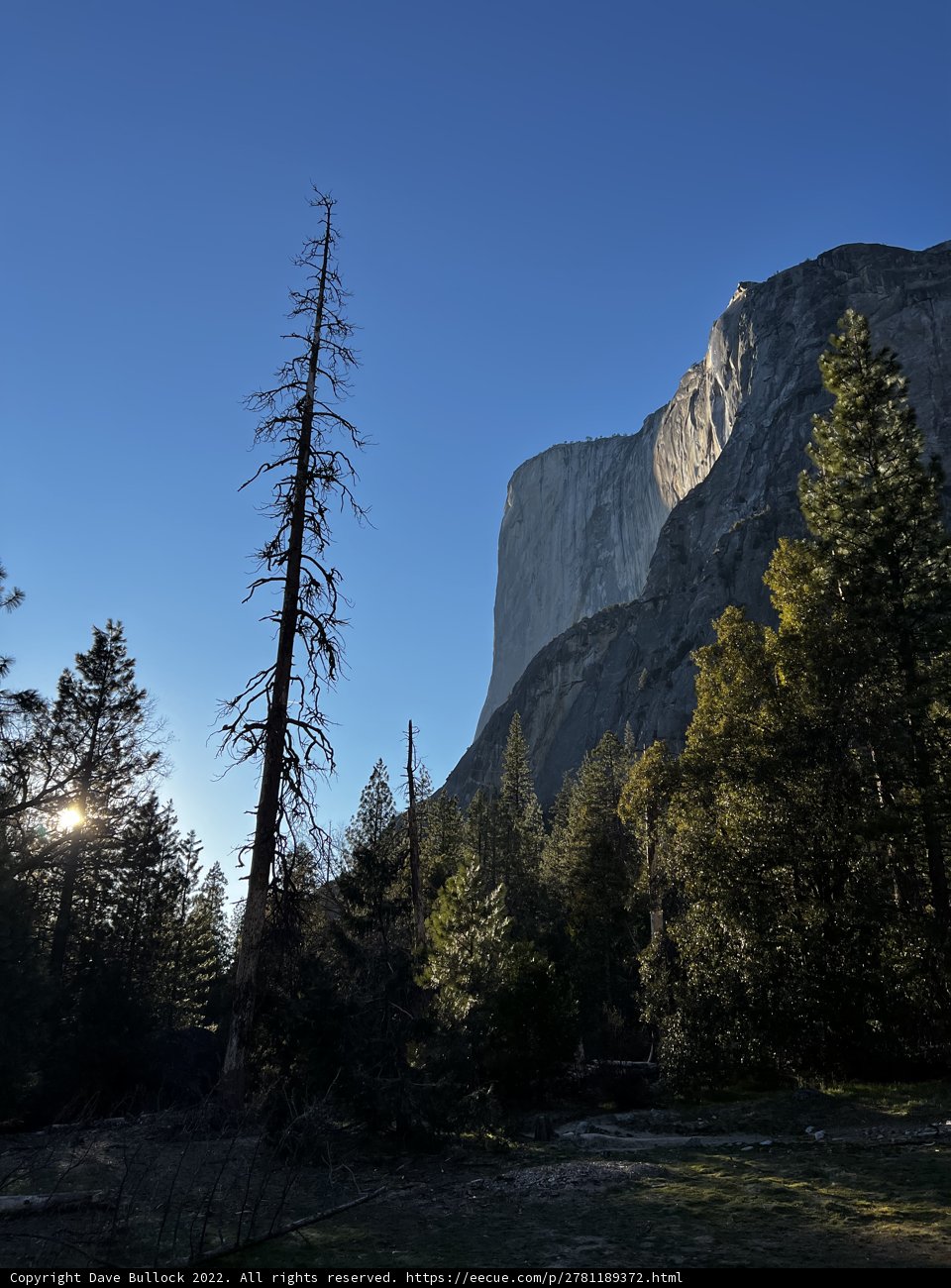 Half Dome at Sunrise