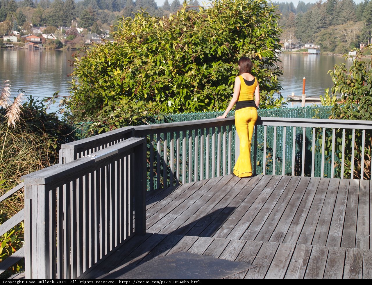 Lakeside Serenity