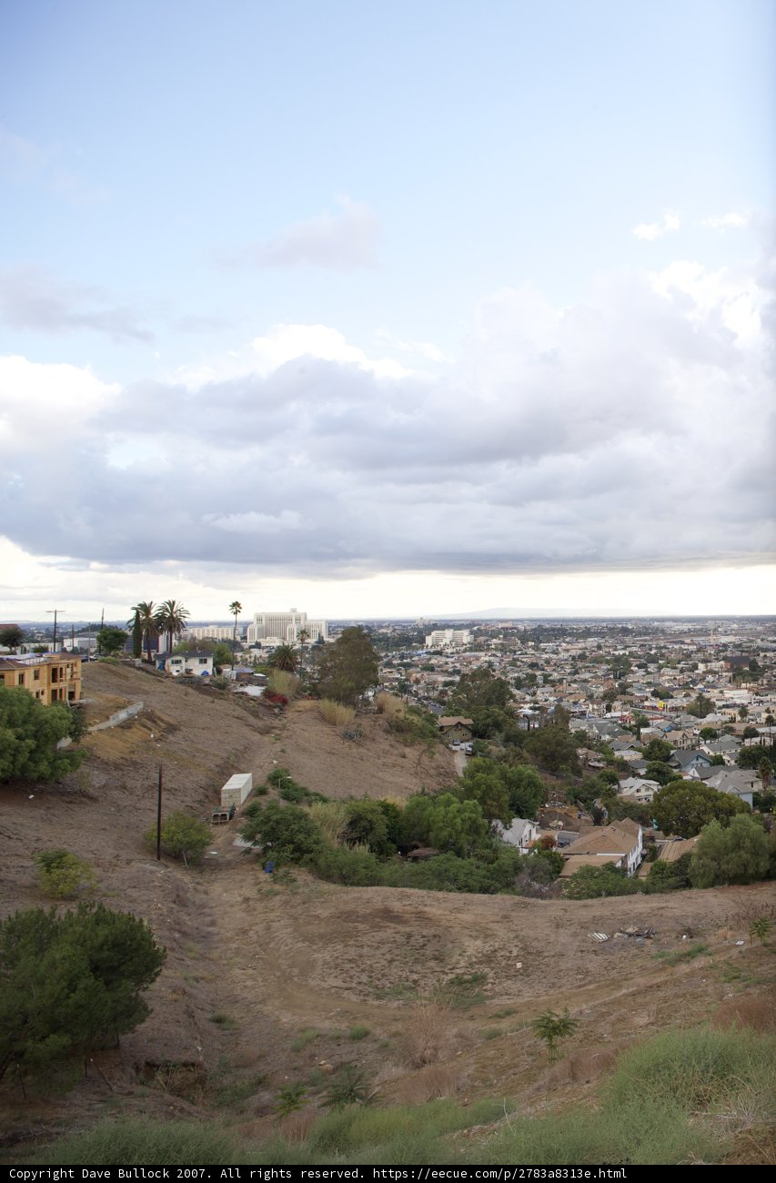 A Serenity Above the City