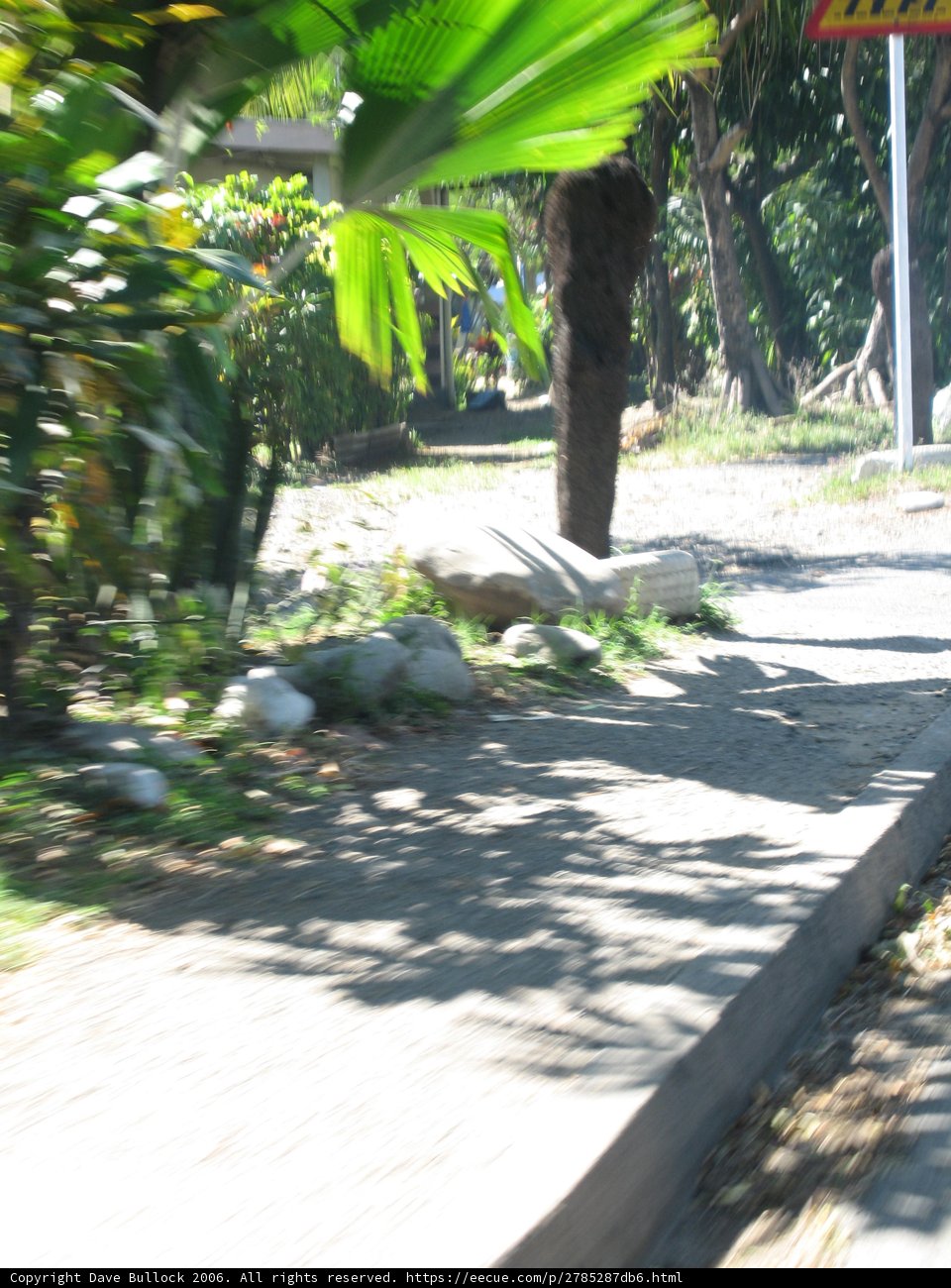 Skateboarding through Nature