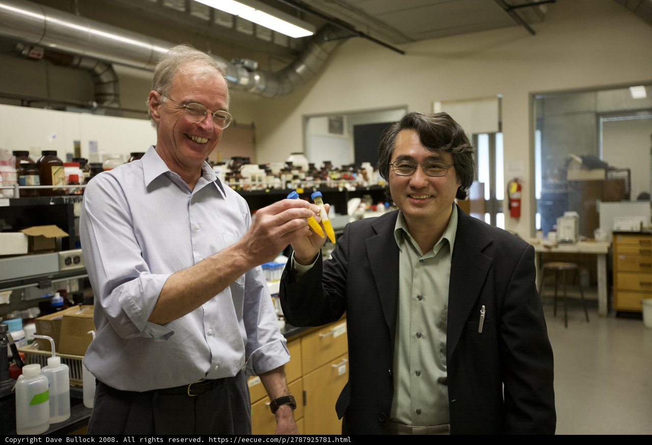 Studying Nanomachines with a Banana