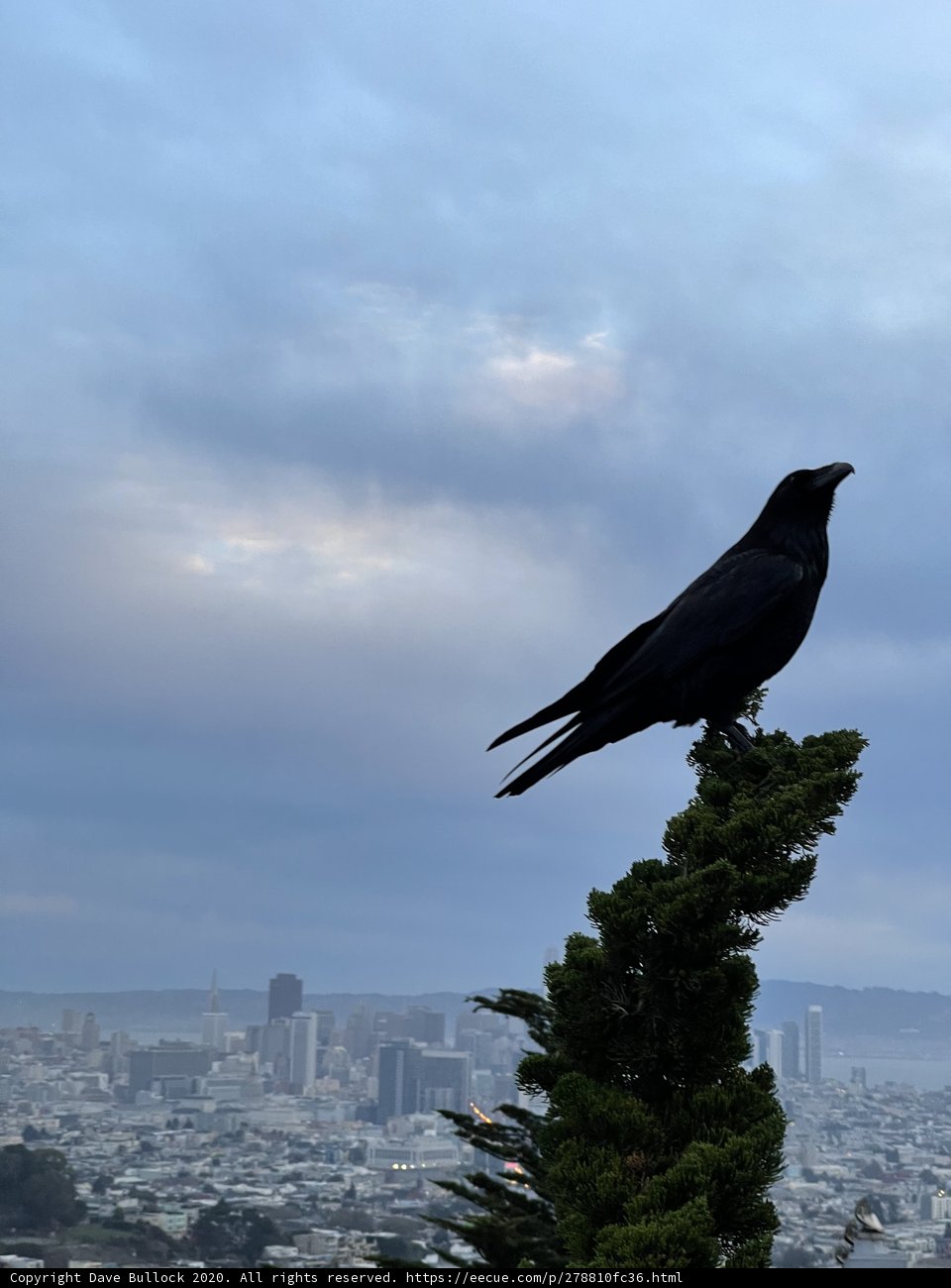 City Watchman