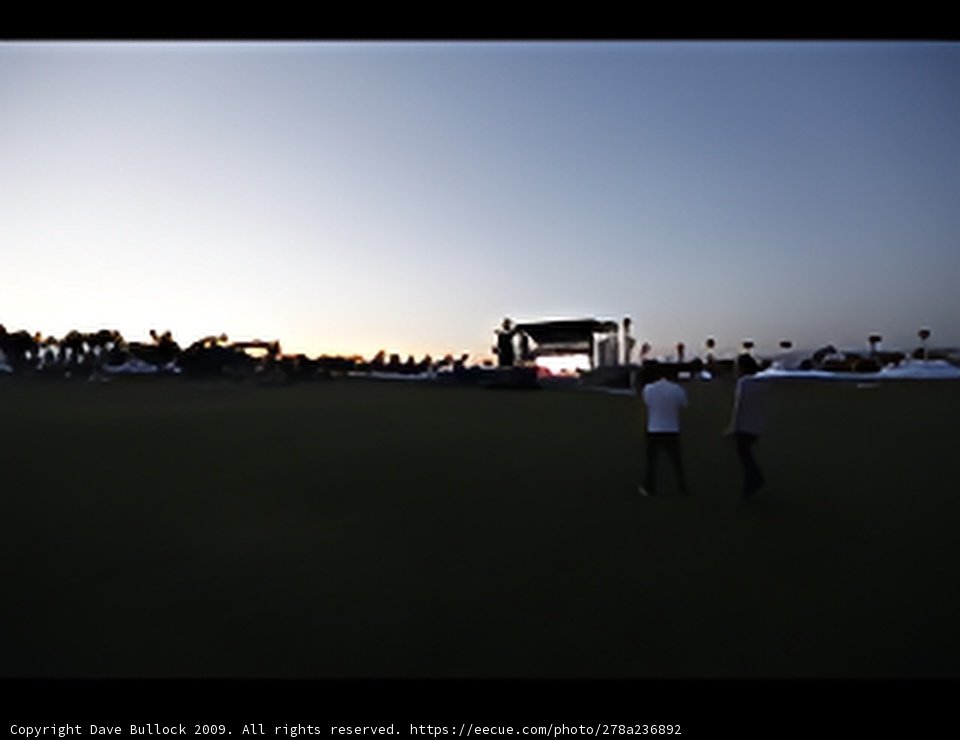 Sunset Stroll in the Grass