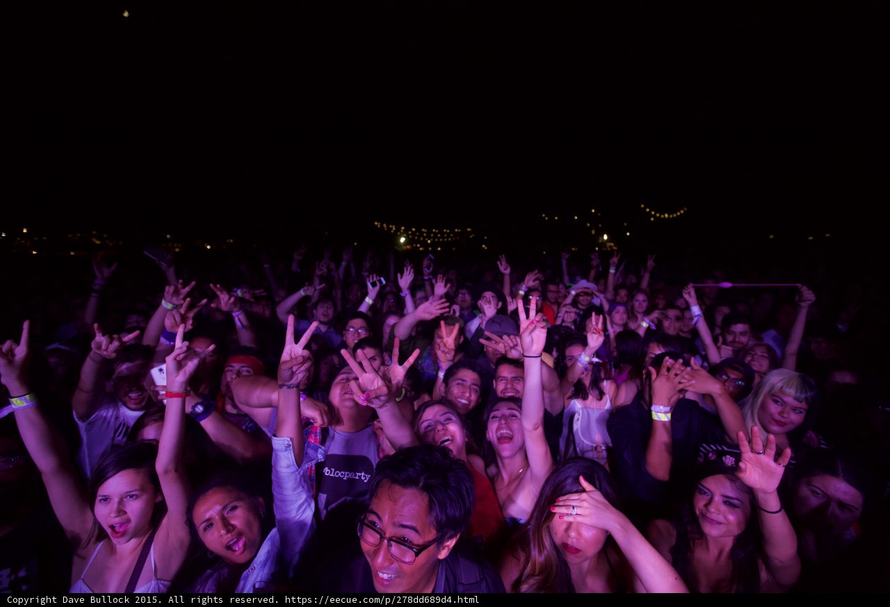 Crowd with Hands Raised