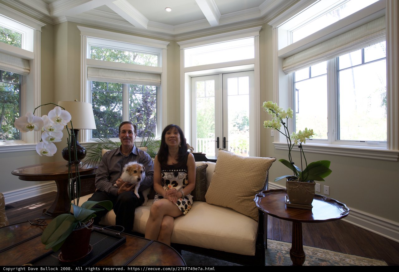 Cozy Afternoon with Fido