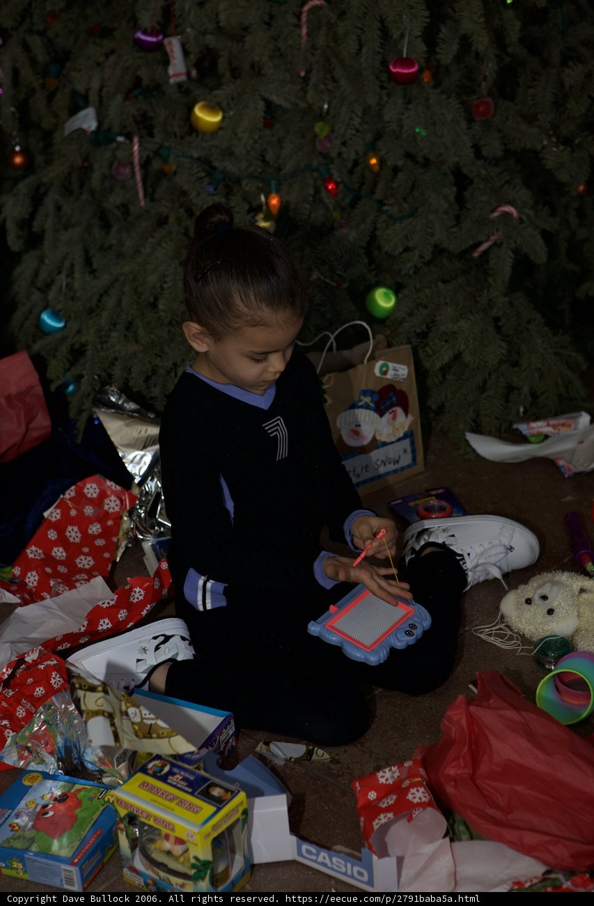 A Christmas Present Wonderland