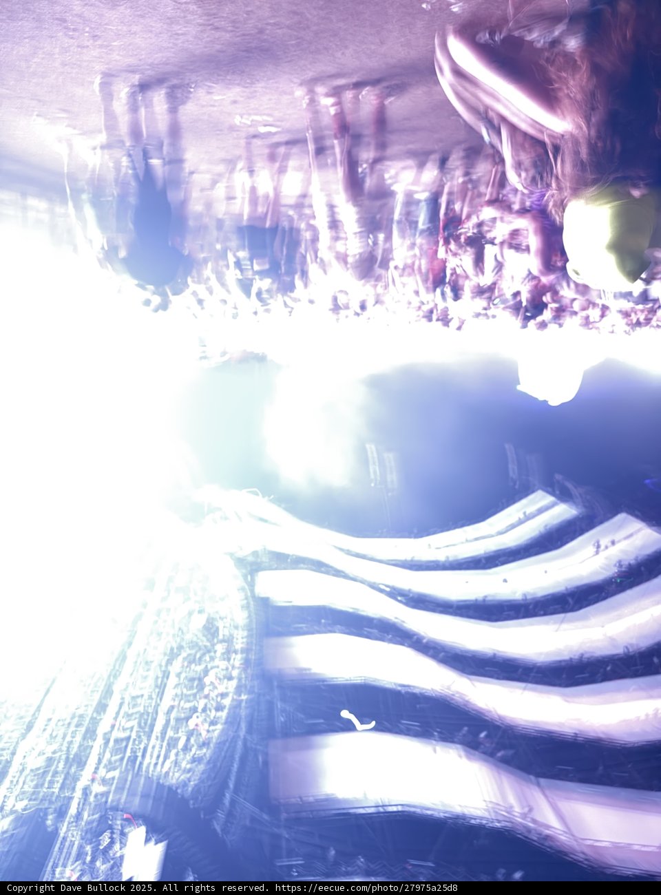 Illuminated Vibrance