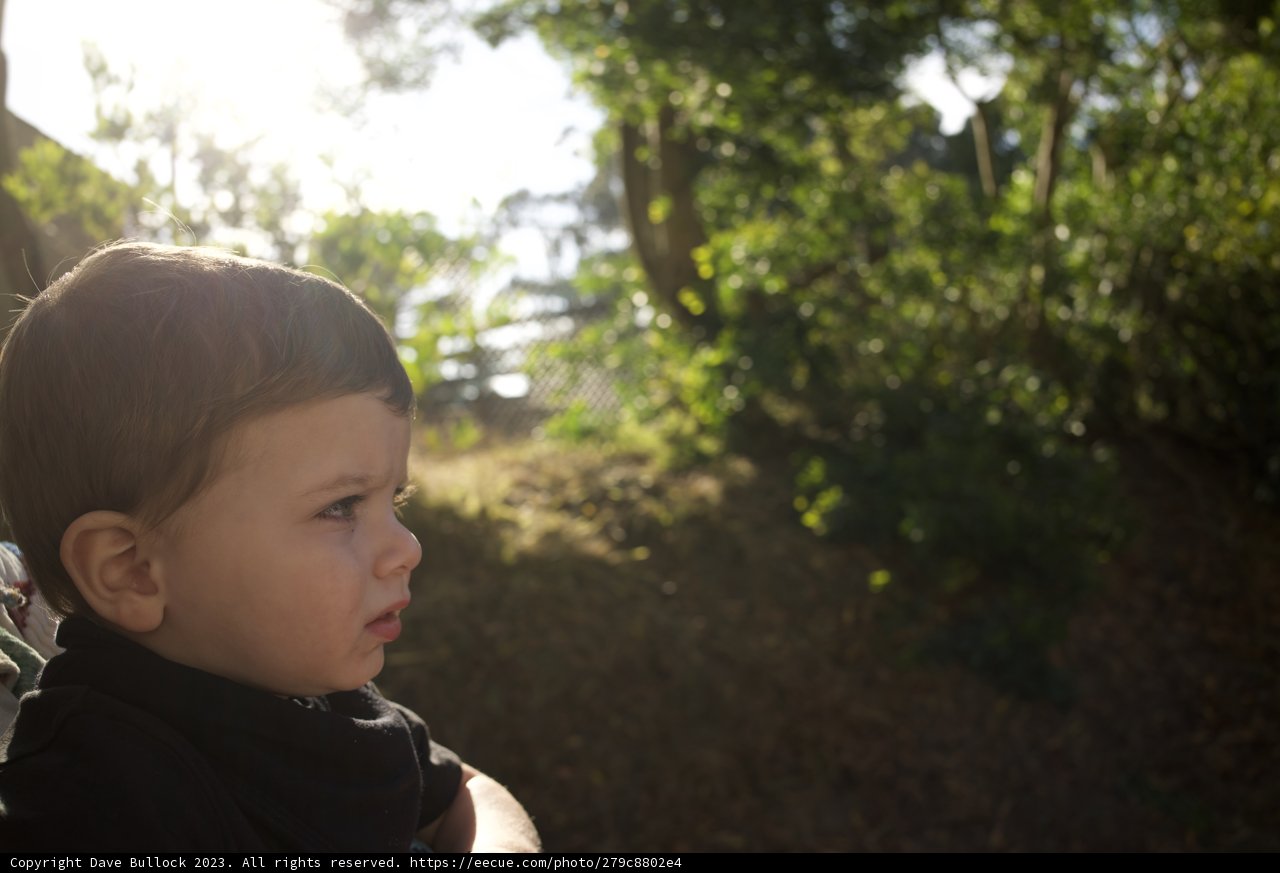 A Boy in His Natural Element: Wesley at the SF Zoo