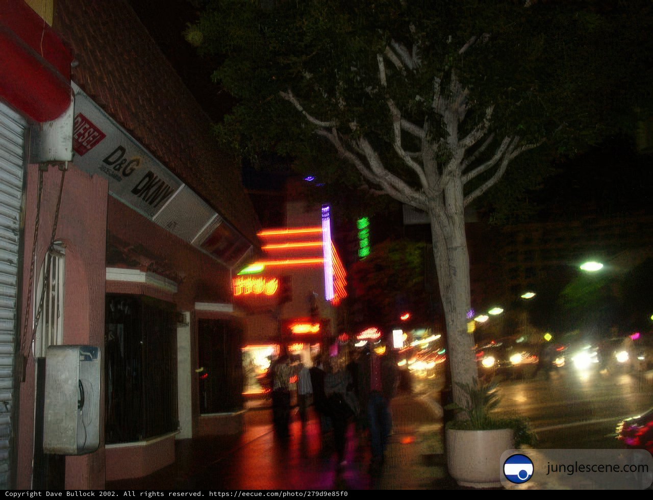 Bustling Nightlife