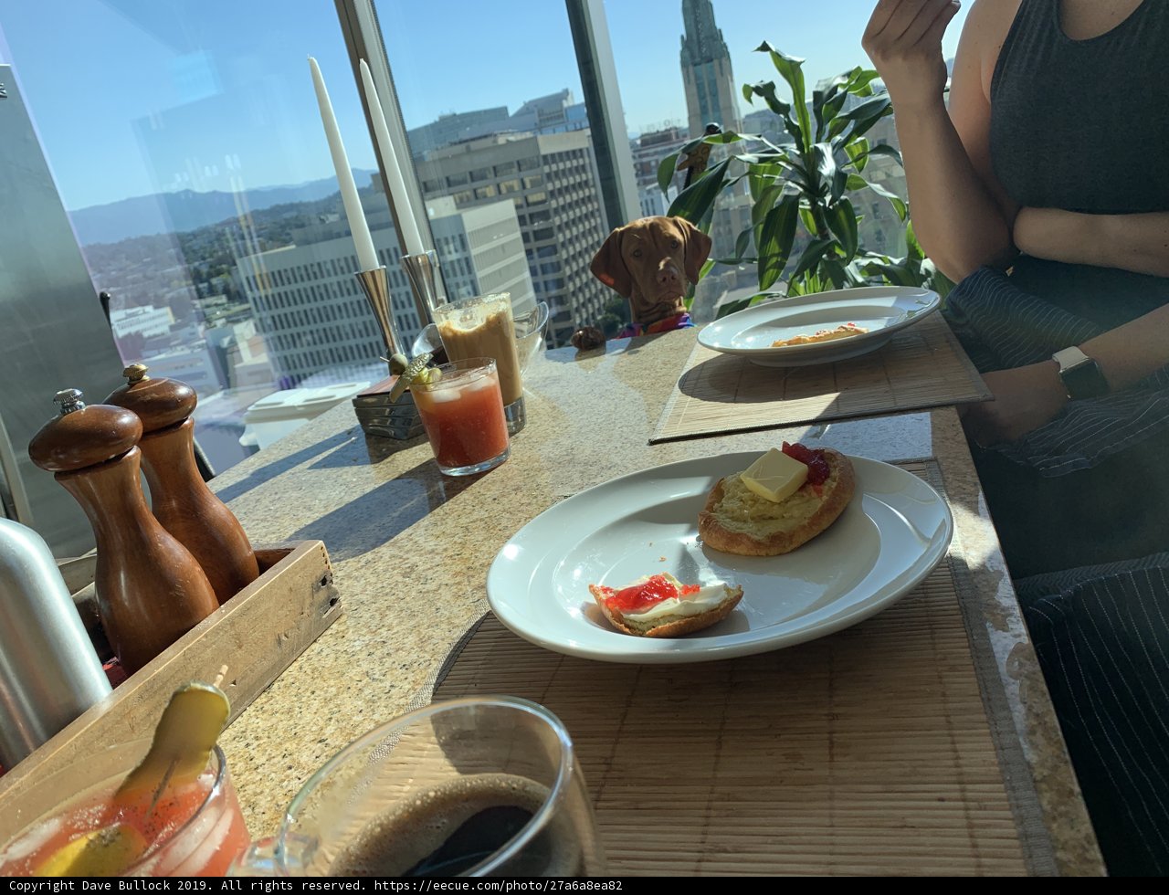 Brunch with a View
