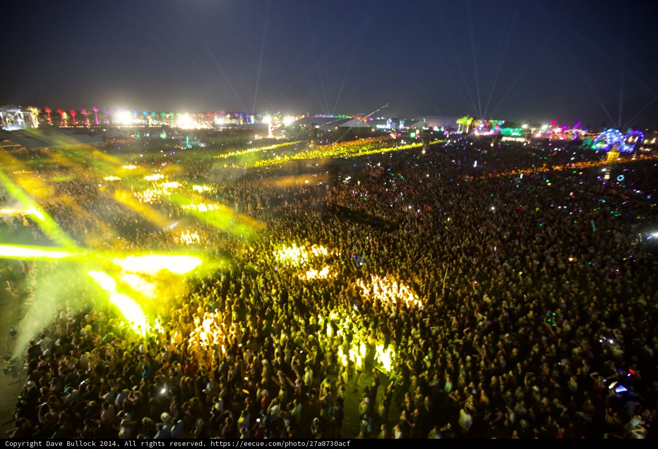 Lights, Crowd, Music: A Night to Remember