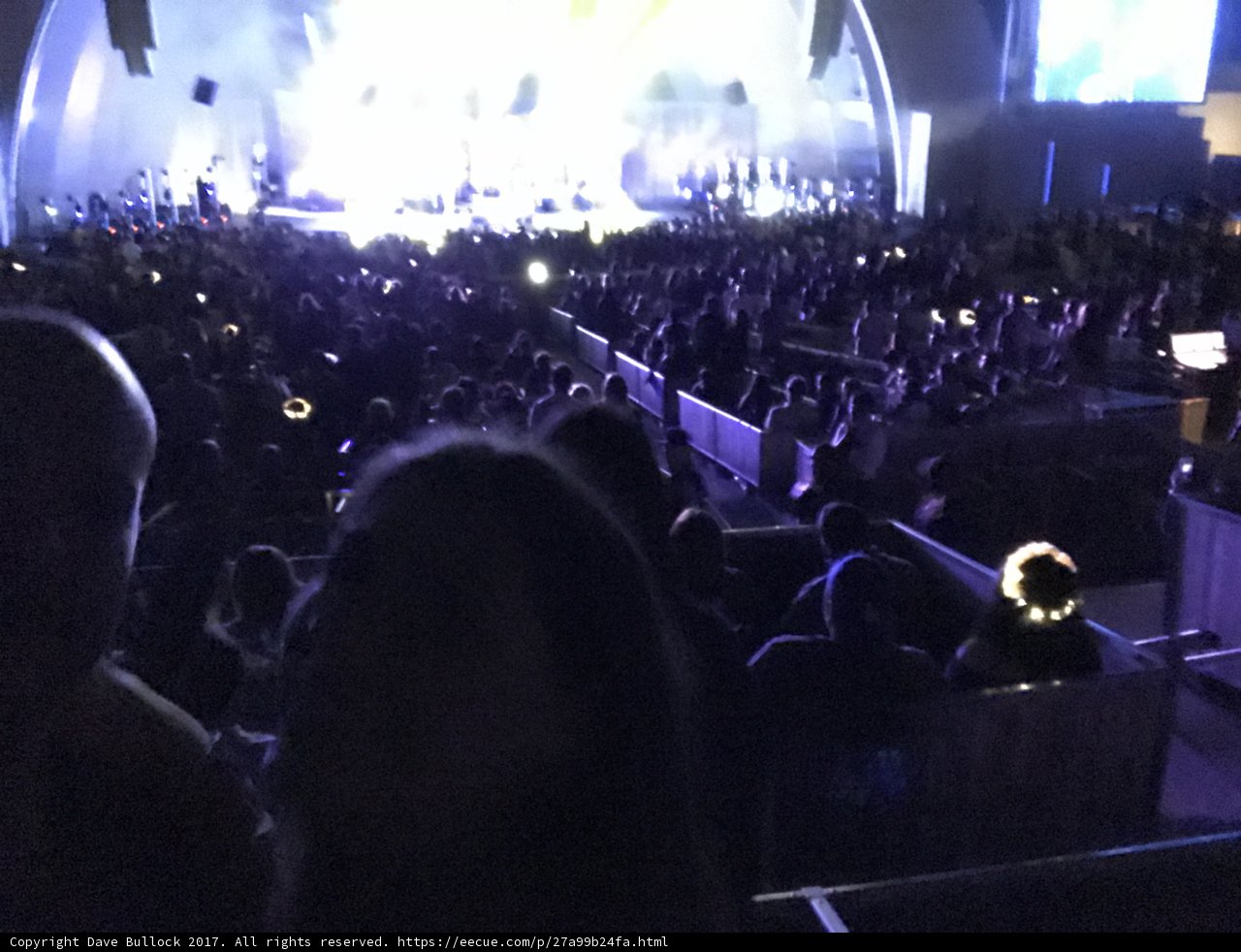 The Electric Crowd: A Rockin' Night at the Auditorium