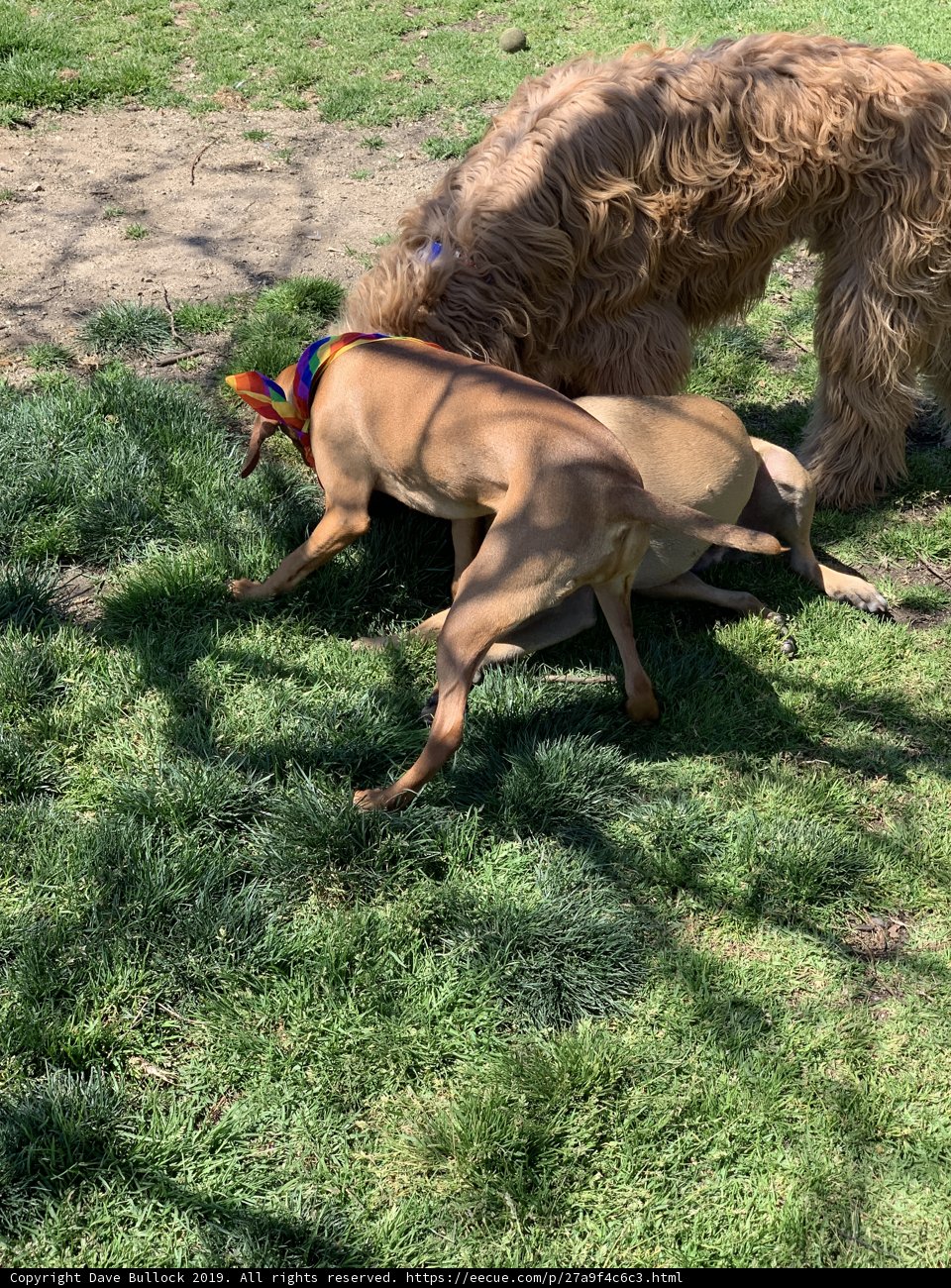 Playtime in the Park