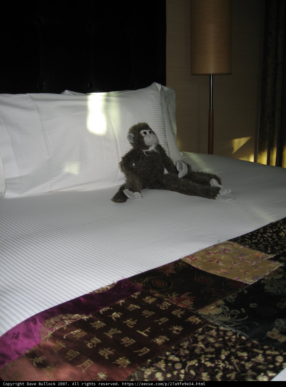 Monkey on a Cozy Bed