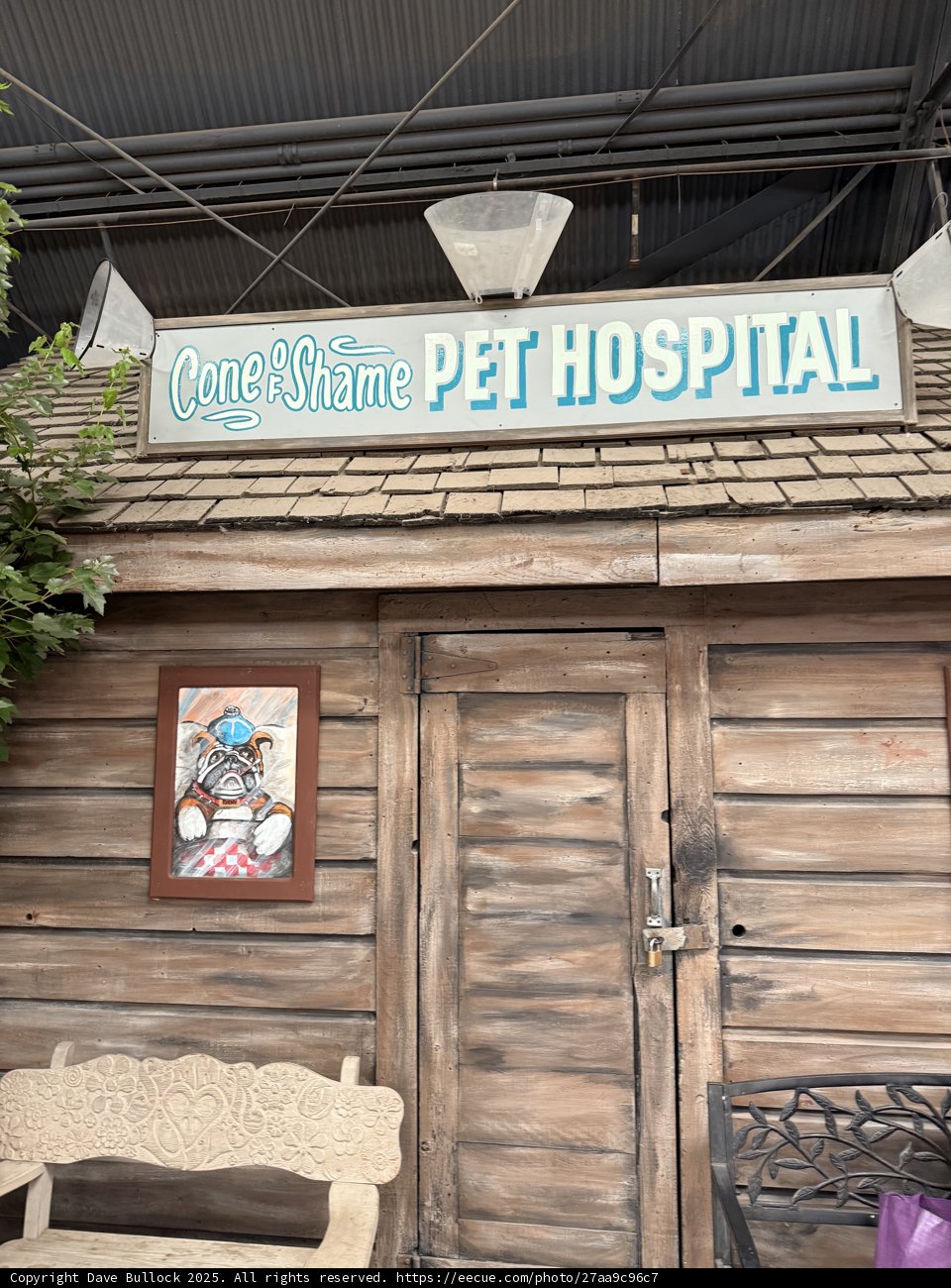 Rustic Charm at the Cone of Shame Pet Hospital