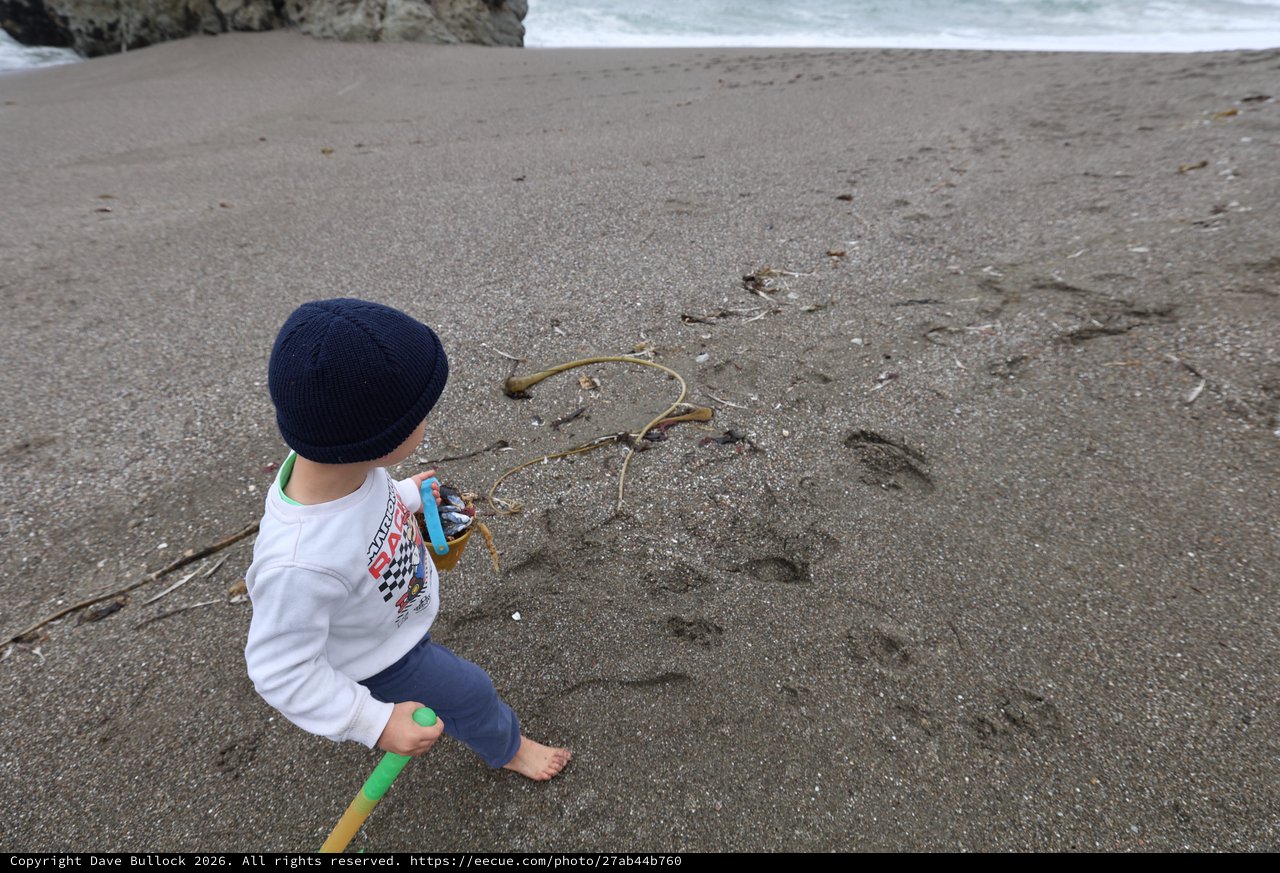 Little Explorer Discovers Treasures on Sandy Beach