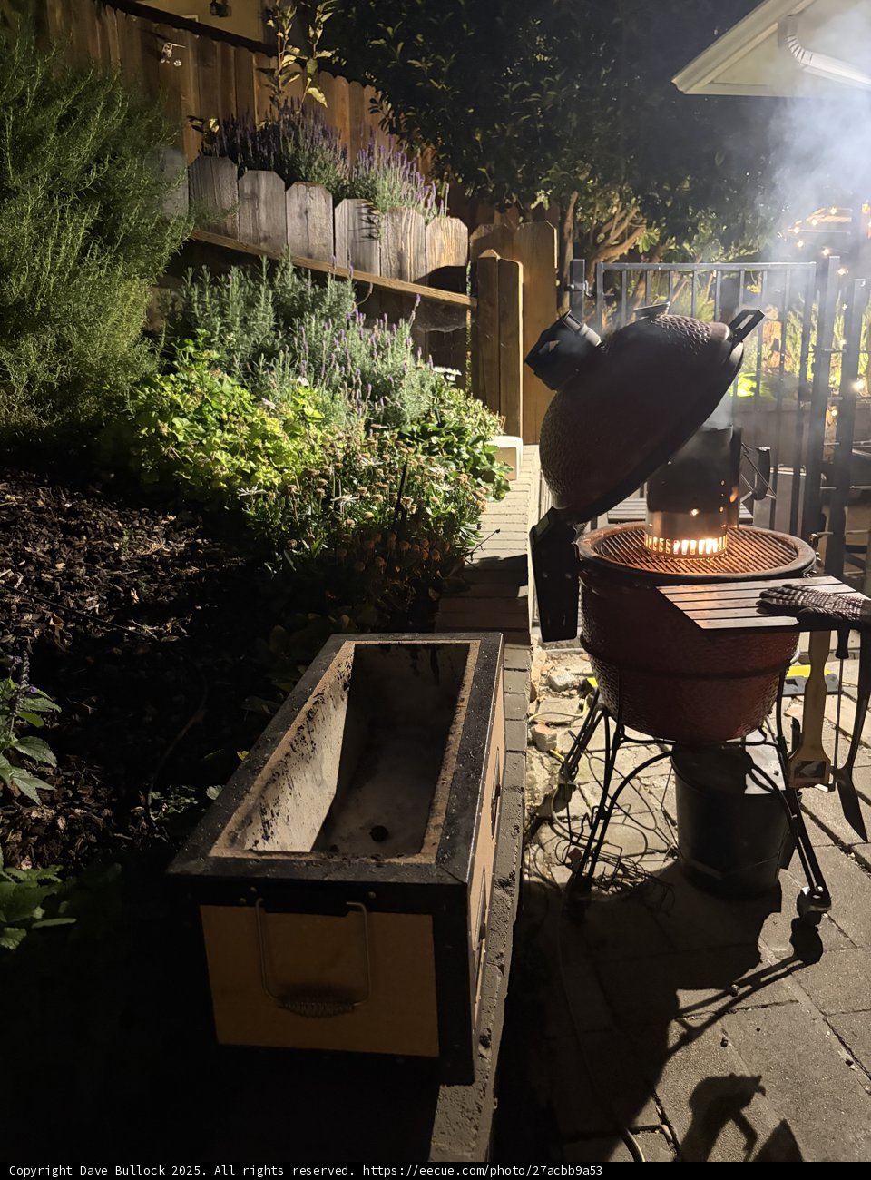 Evening Serenity in the Backyard Garden