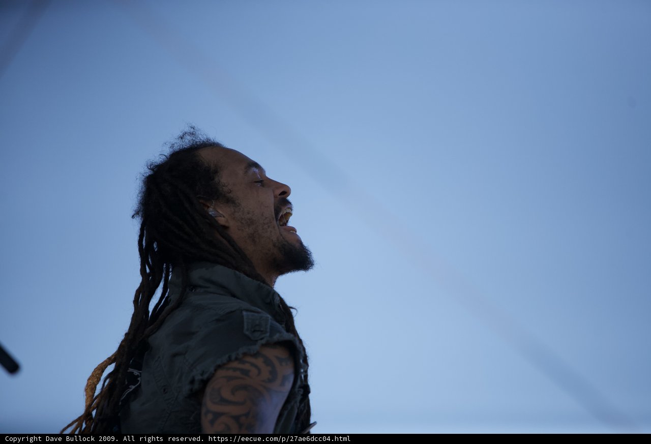 Dreadlocked Musician Rocks Coachella Stage