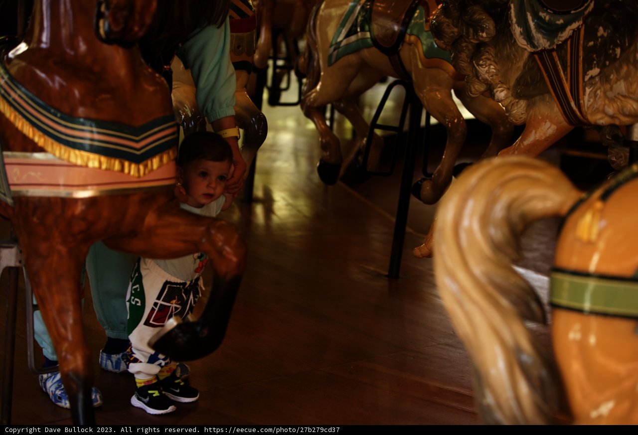 Family Fun at the Carousel