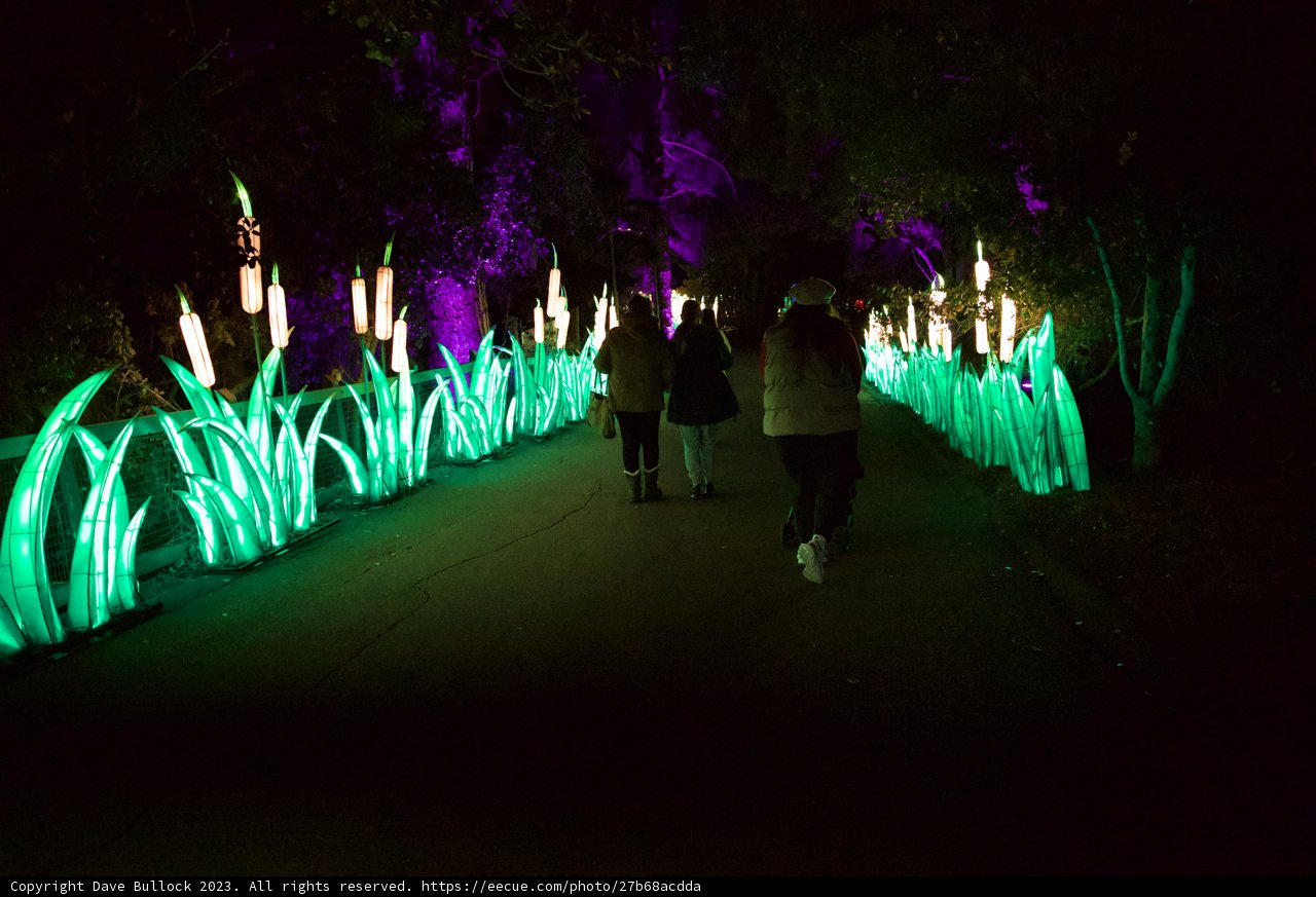 Enchanting Night Walk at the Glowfari Oakland Zoo