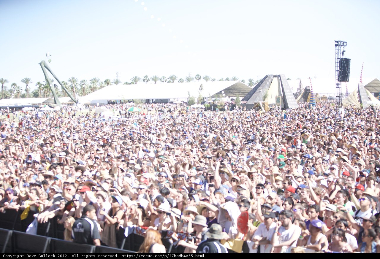The Excitement of Coachella