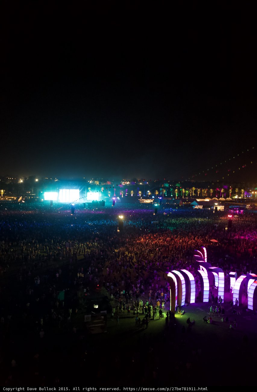 Night Lights and Crowded Delights