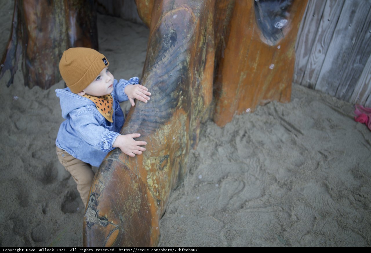 Little Explorer: Wesley's Day at the SF Zoo