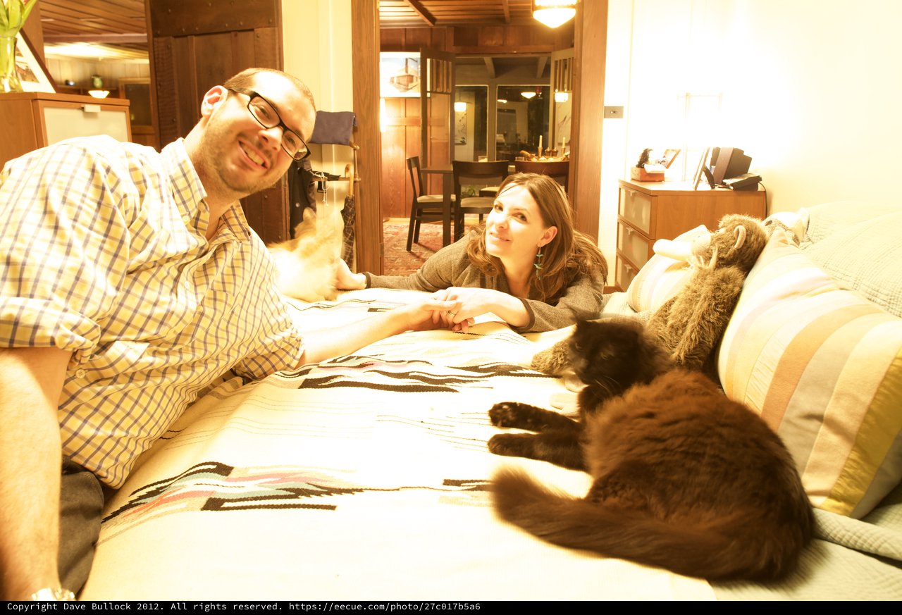 Couple Relaxing Together with Their Cats at Home
