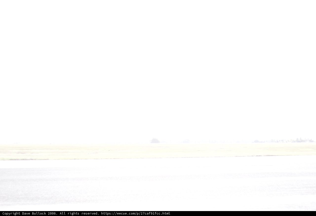 Lone Elephant in the Misty Field