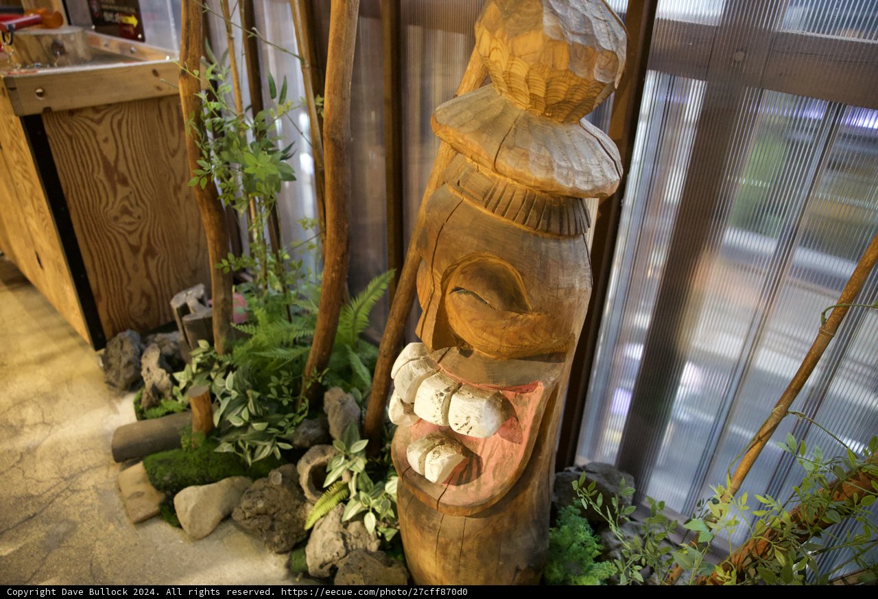 Joyful Harmony: The Wooden Enigma