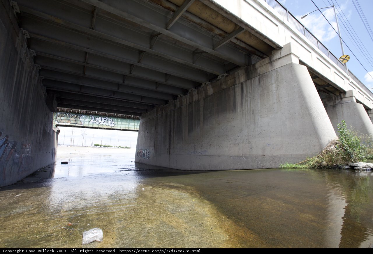 Bridge over the Reflecting River