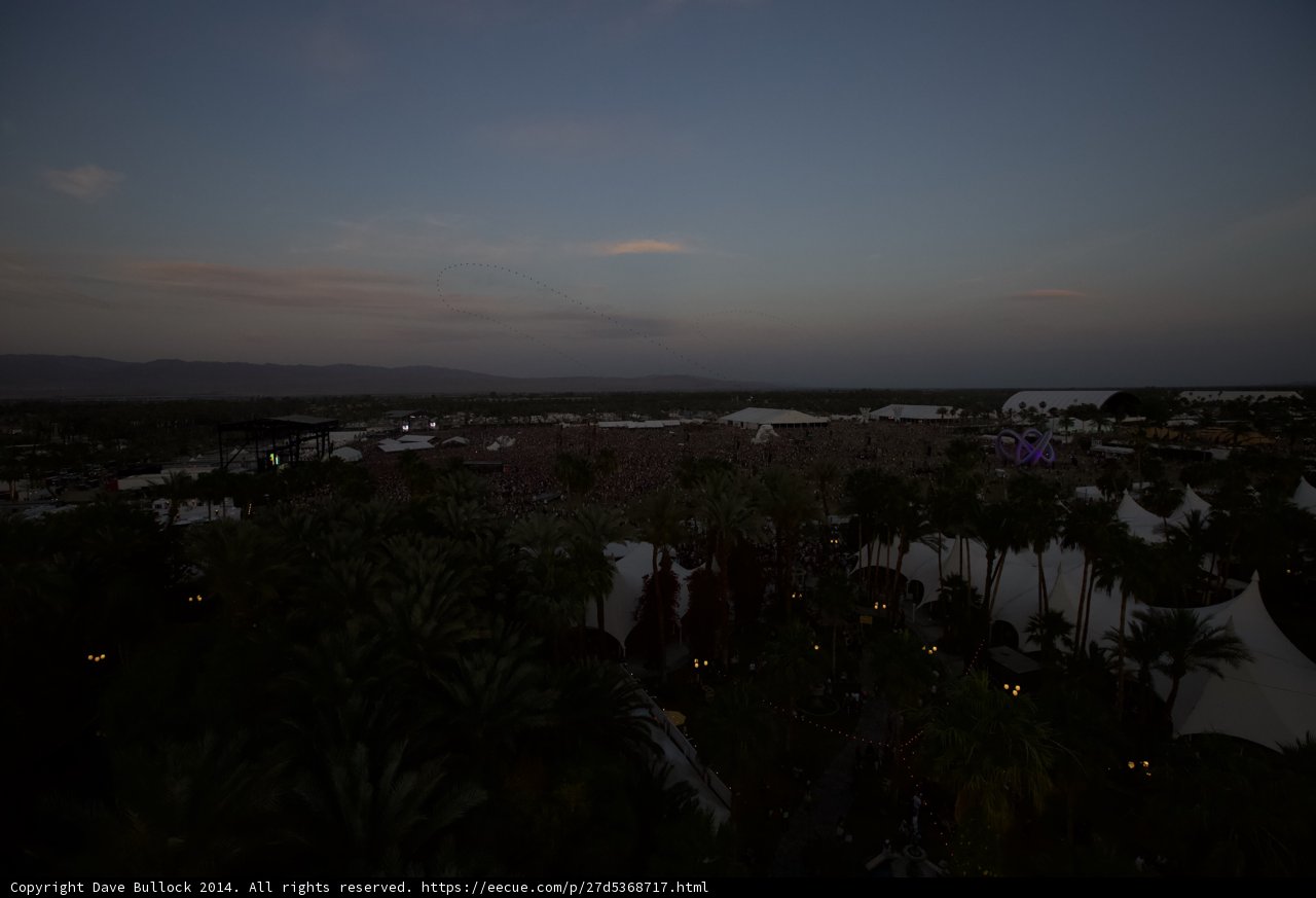 Top of the Palm Trees at Sunset
