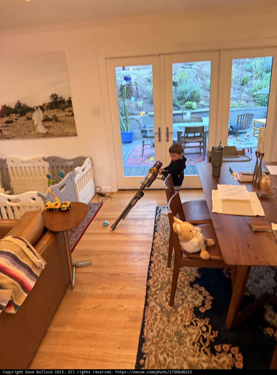 Young Explorer in Action