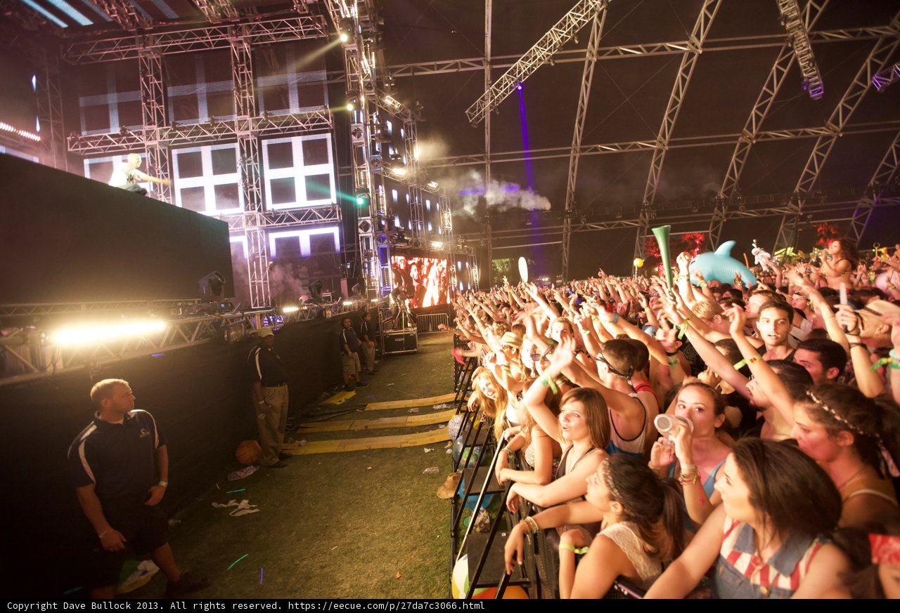 Electrifying Crowd at Coachella Concert