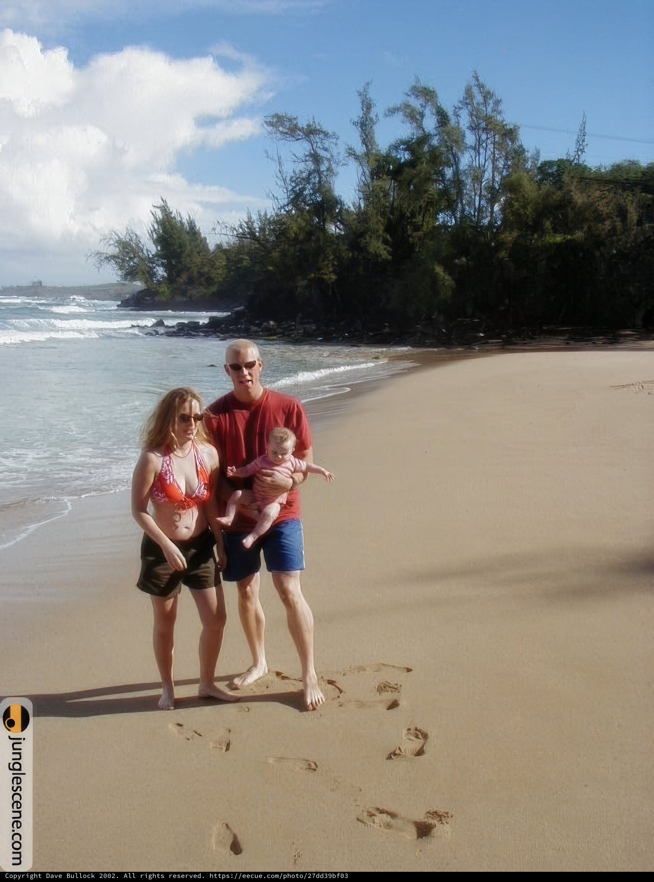 Family Fun at the Shoreline