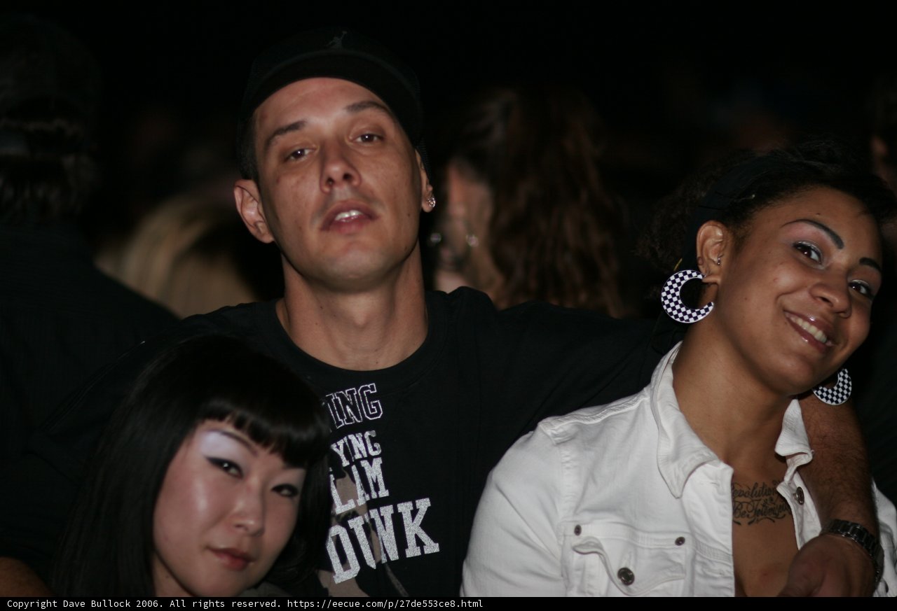 Grooving Night at the Club