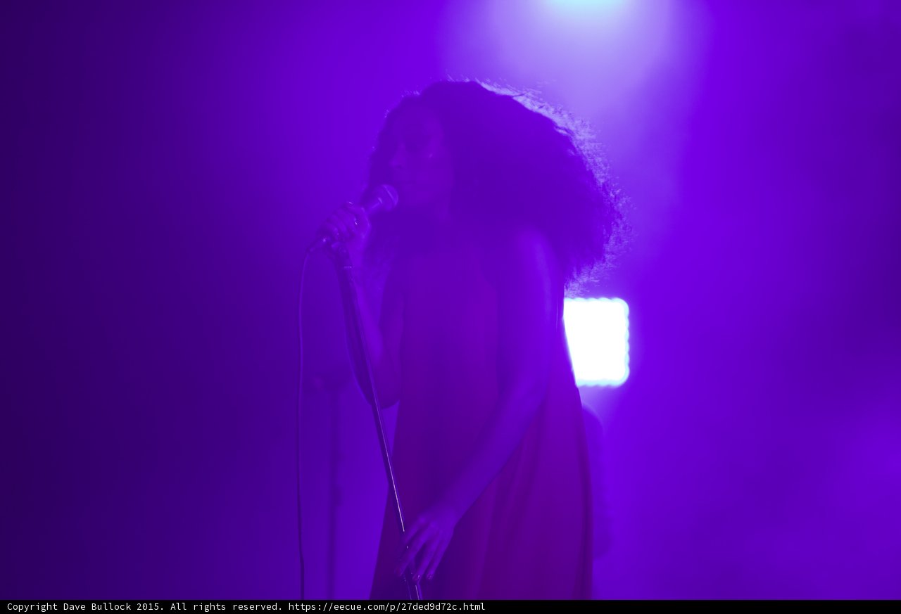 Florence Welch Profile Singing Cube Light Purple