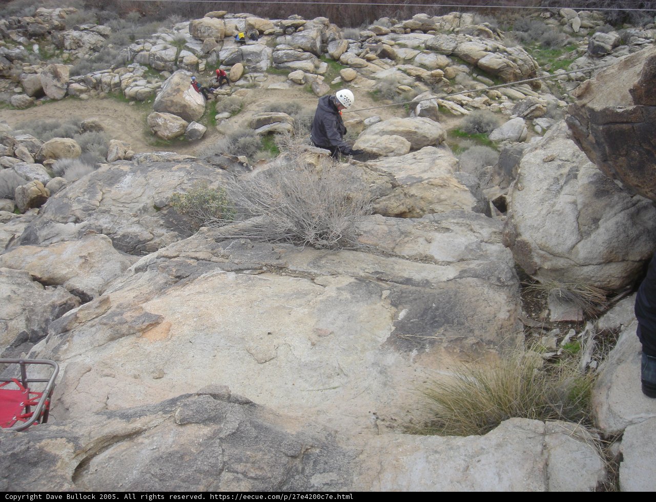 Standing Strong on Rocky Terrain
