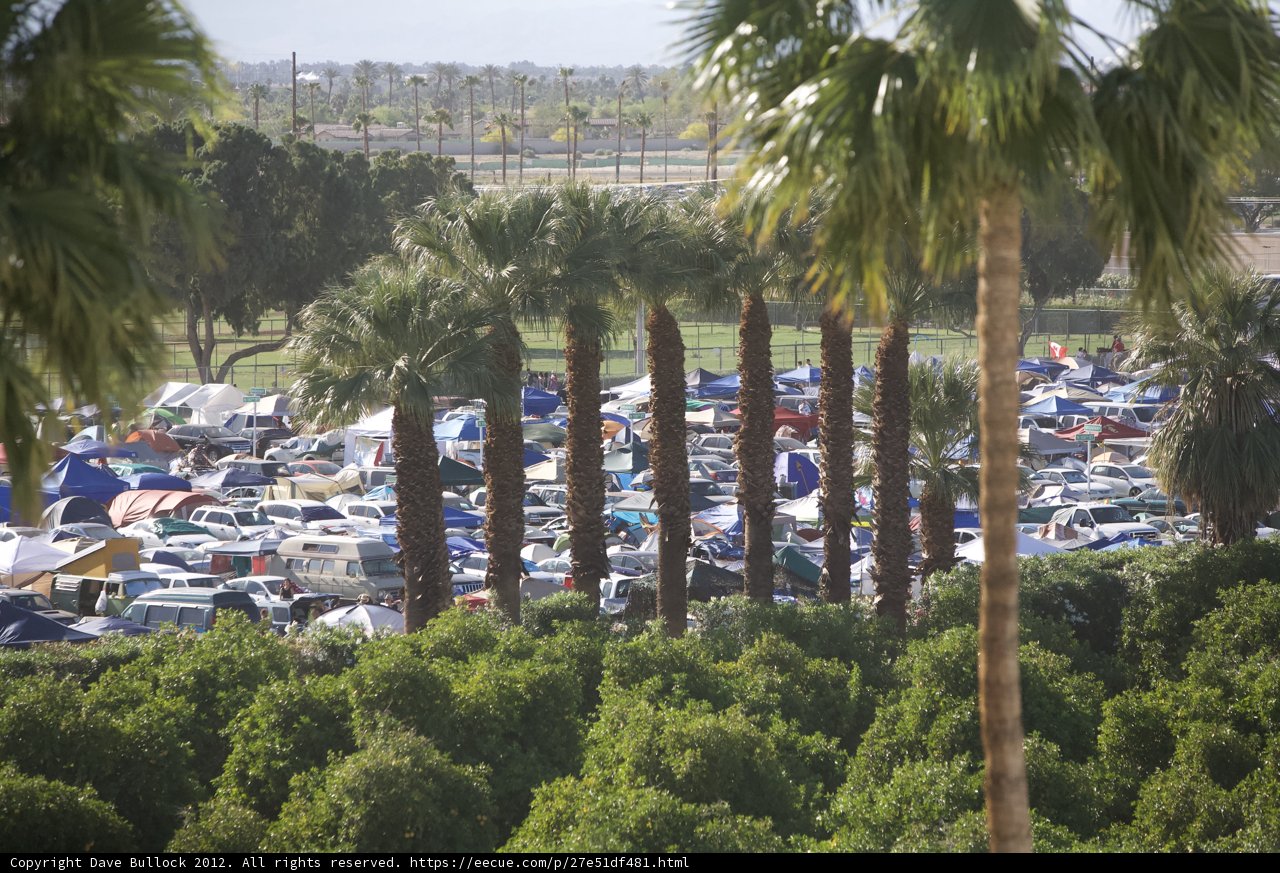 Summer Fun at Coachella