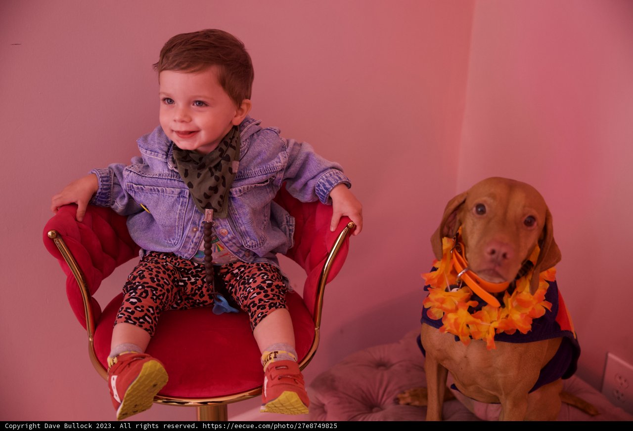 Memorable Moments: Childhood and Companionship