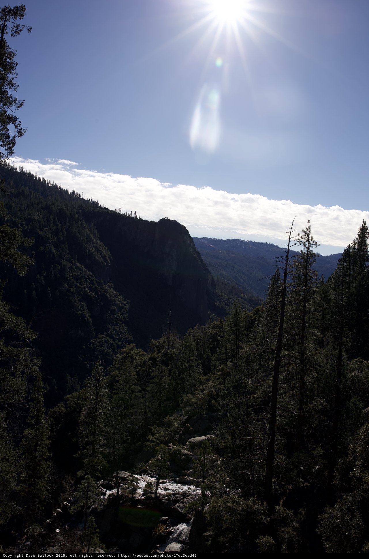 Sun-Drenched Canyon Vista in Yosemite Valley