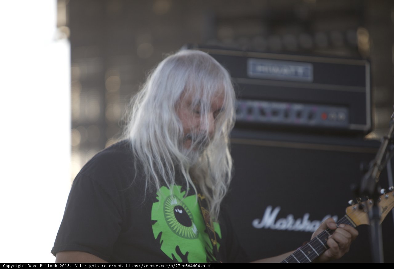 J Mascis Hair Veil