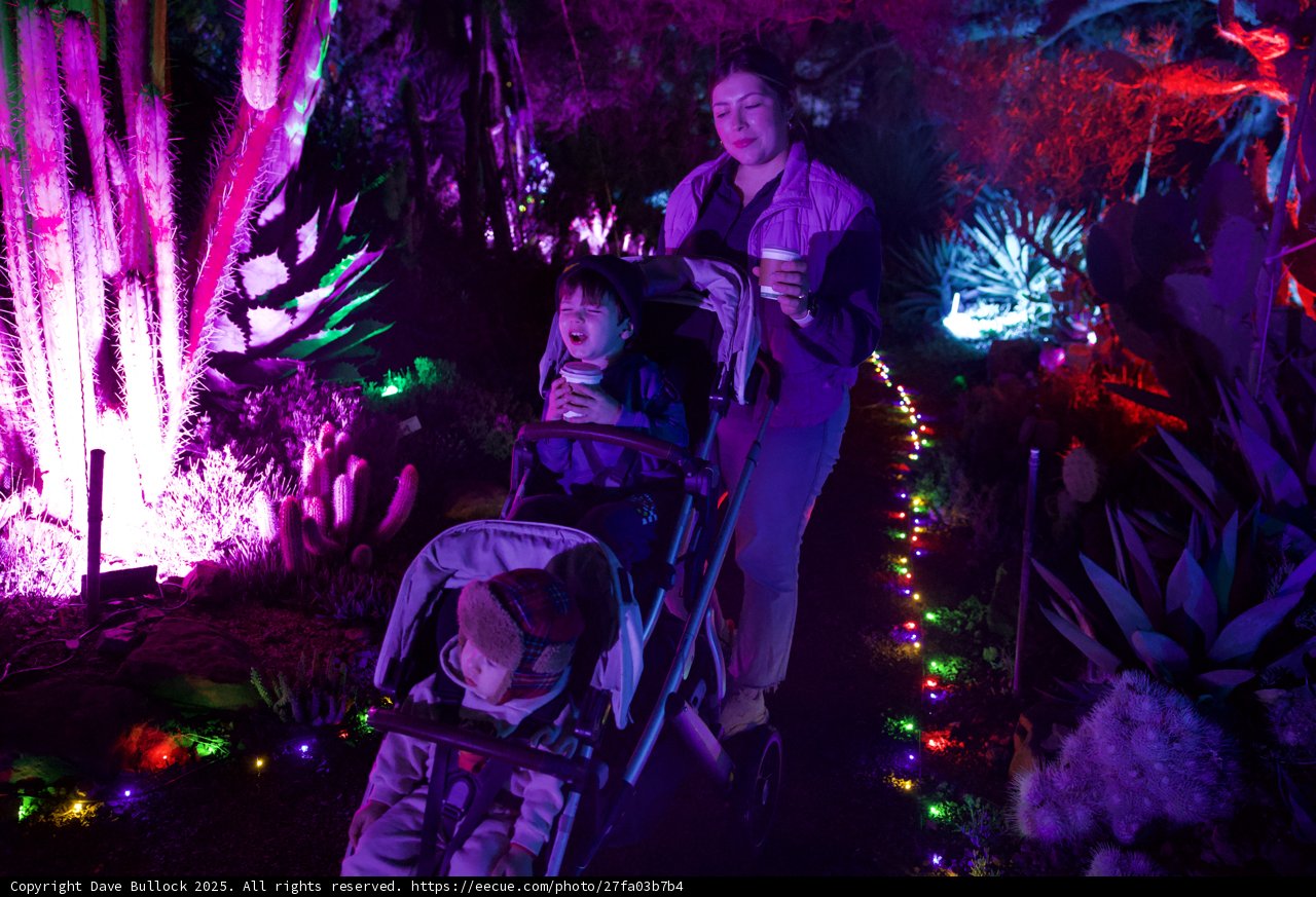 Enchanted Evening at the Garden of D'Lights