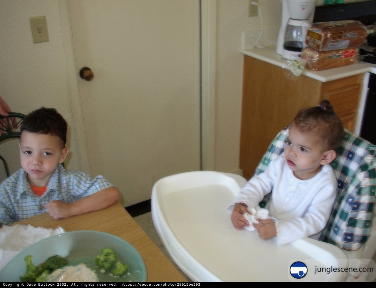 High Chair Dining