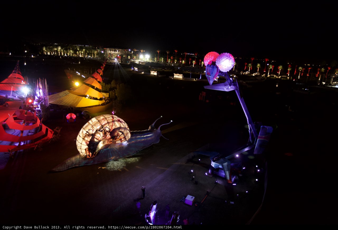 Snail's Night Out