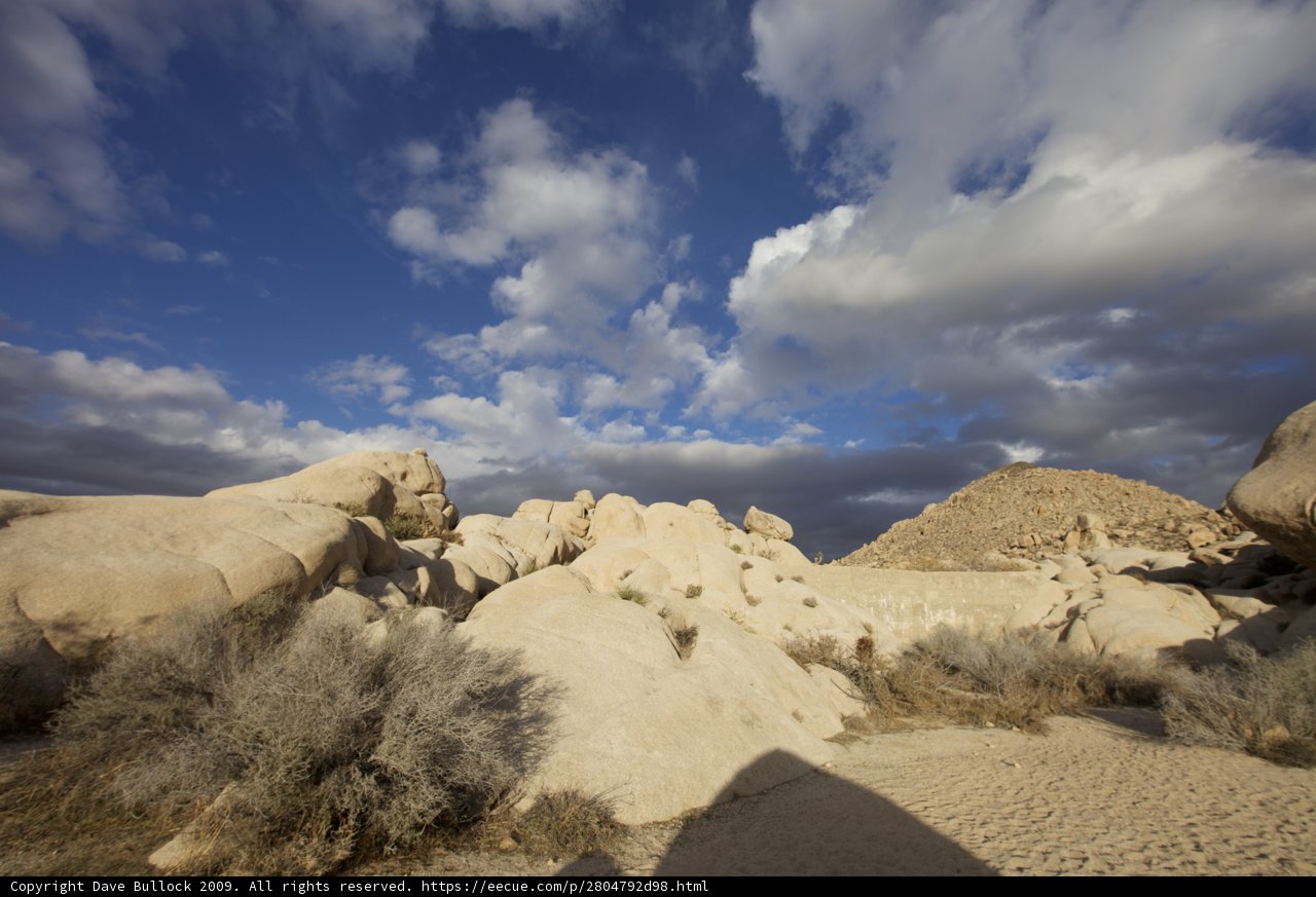 Majestic View of the Desert Sky
