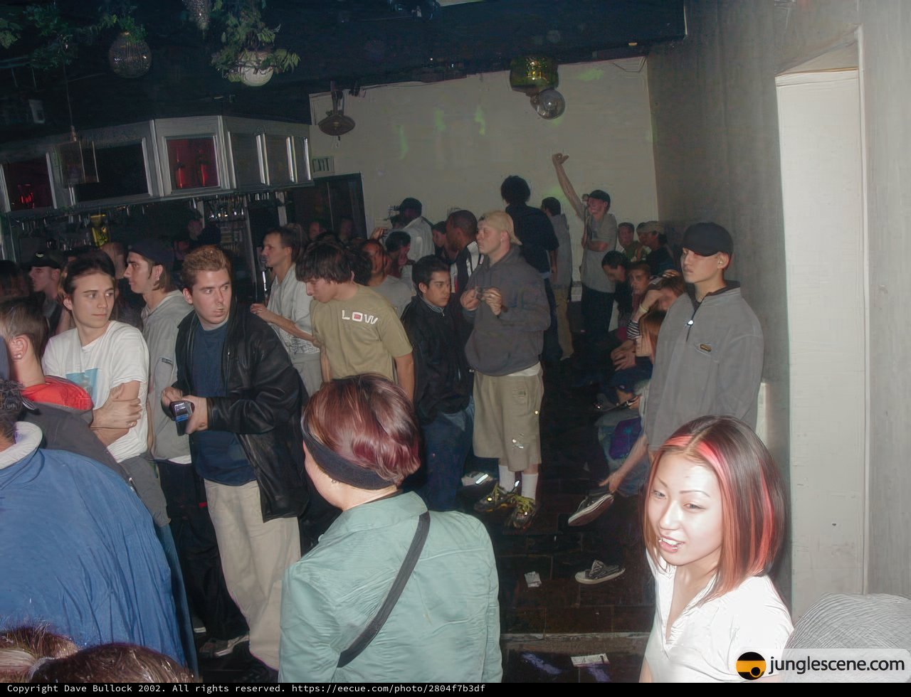Nightclub Gathering