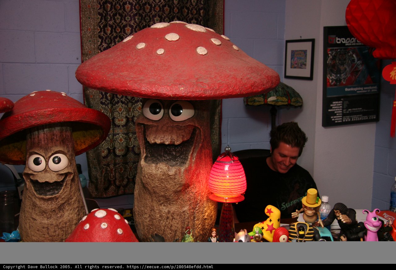 The Mushroom Hunter
