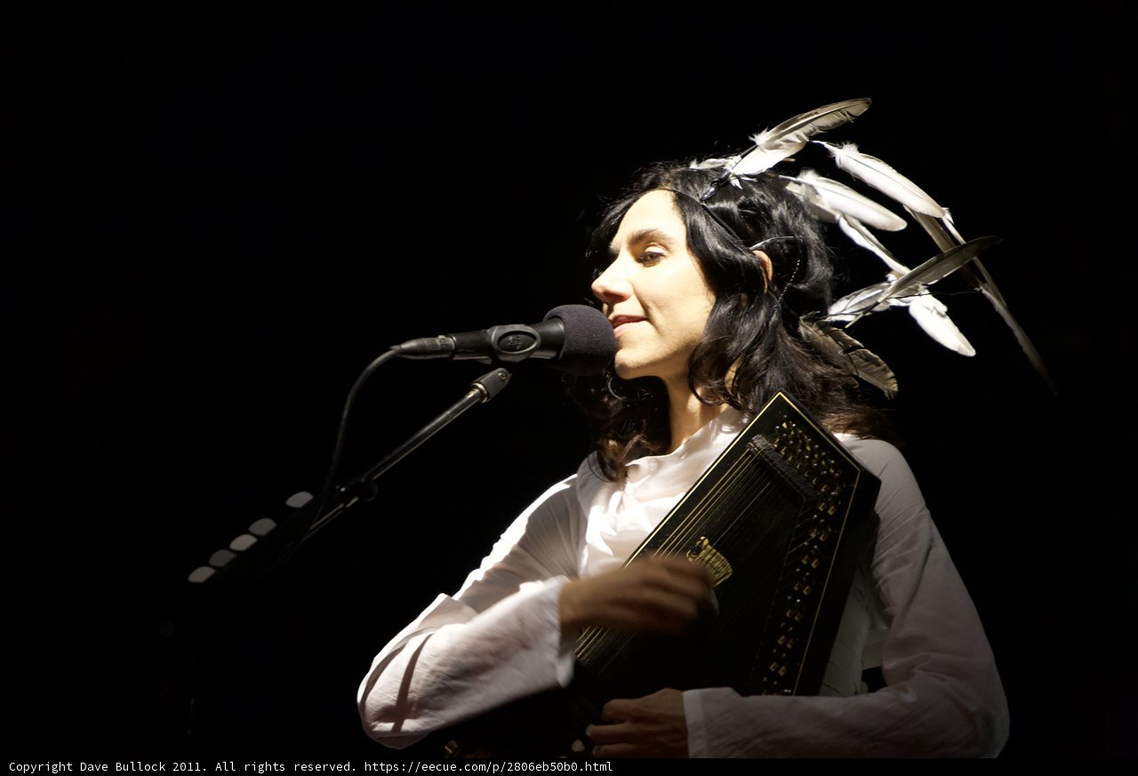 Feathered Songstress